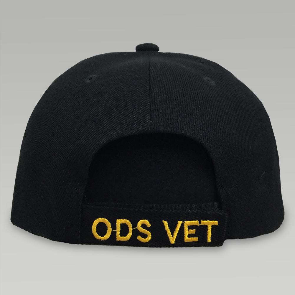 DESERT STORM VETERAN MEDAL CAP 3